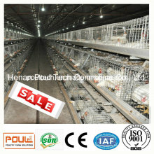 Poul Tech Broiler Chicken Cage